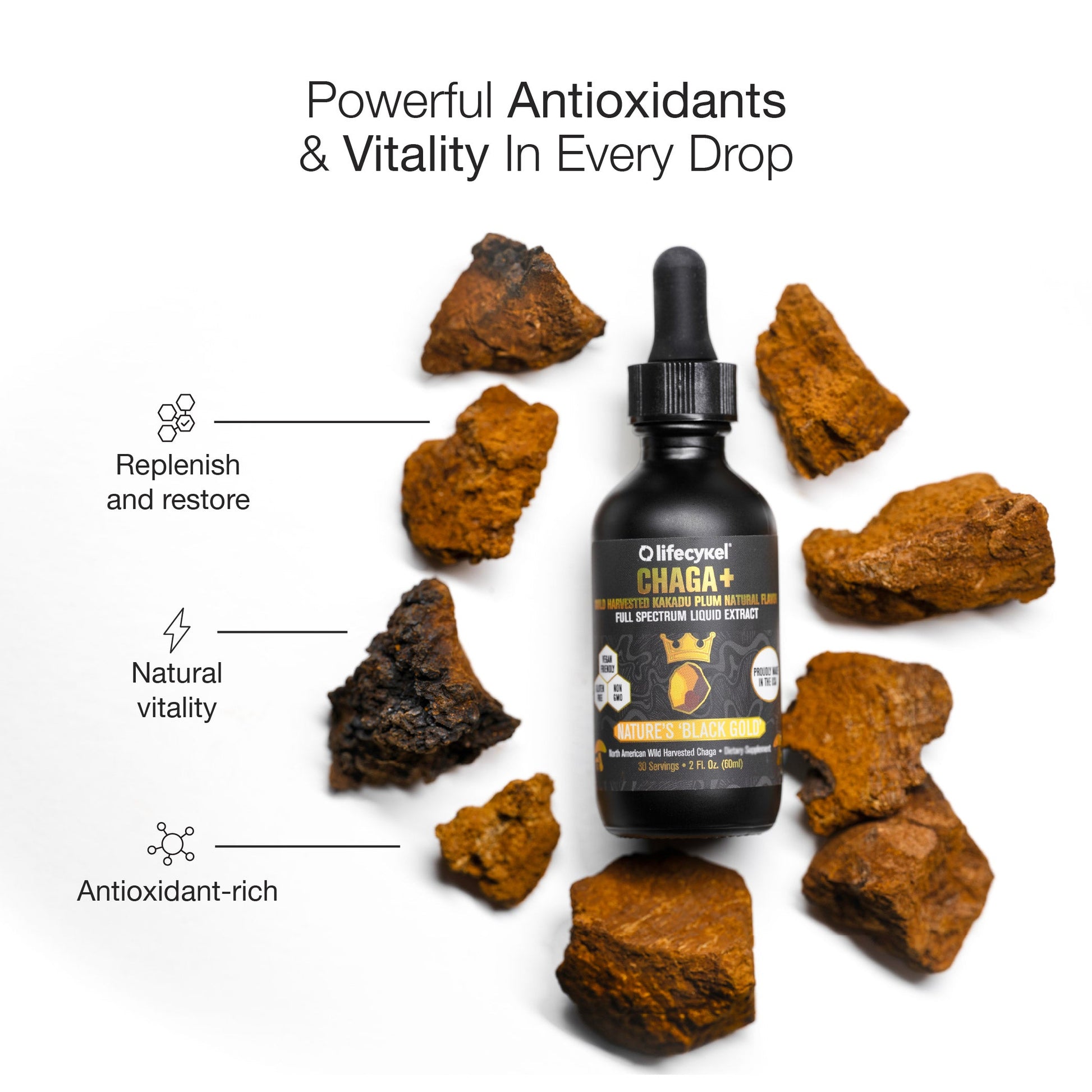 Chaga Mushroom Extract