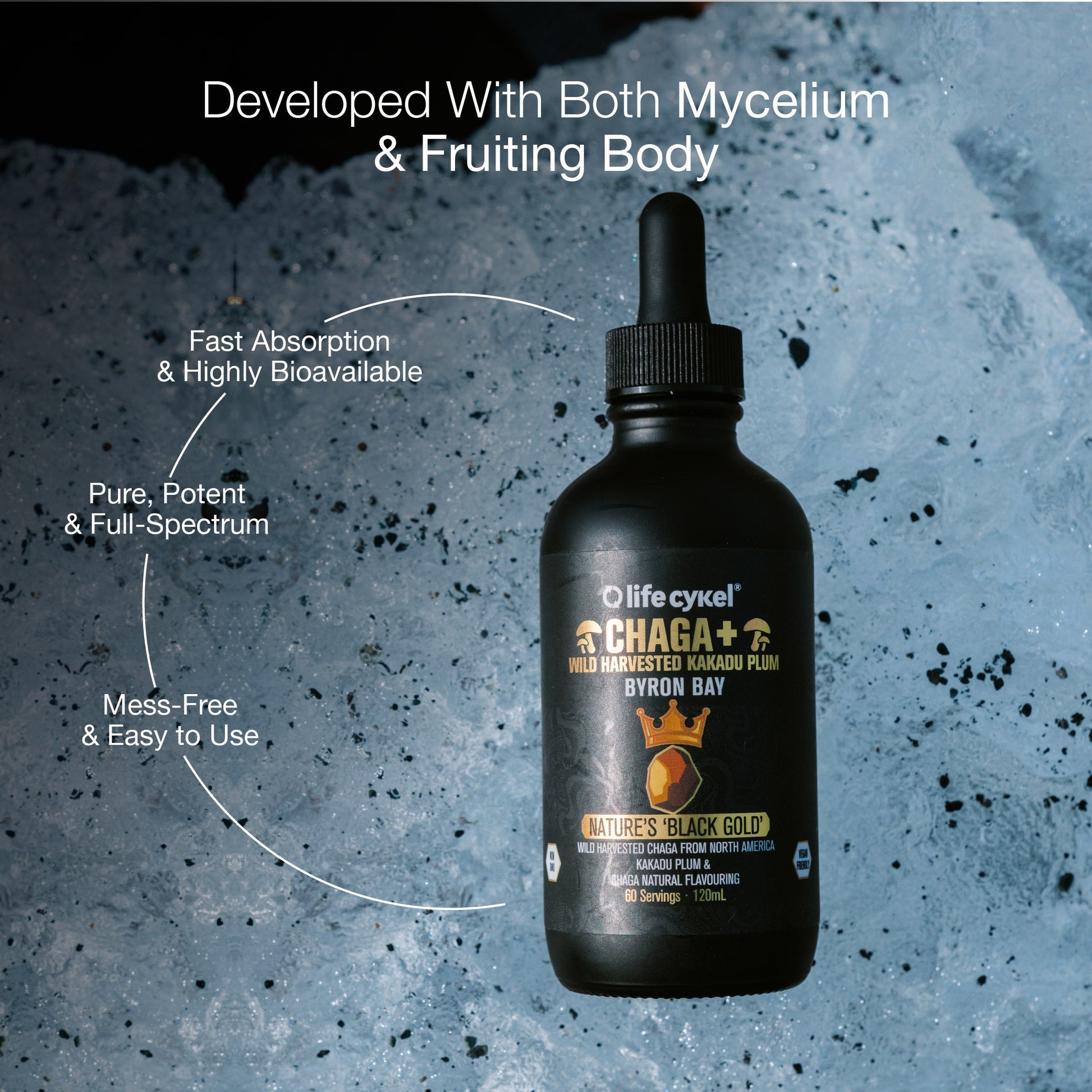 Chaga Mushroom Extract