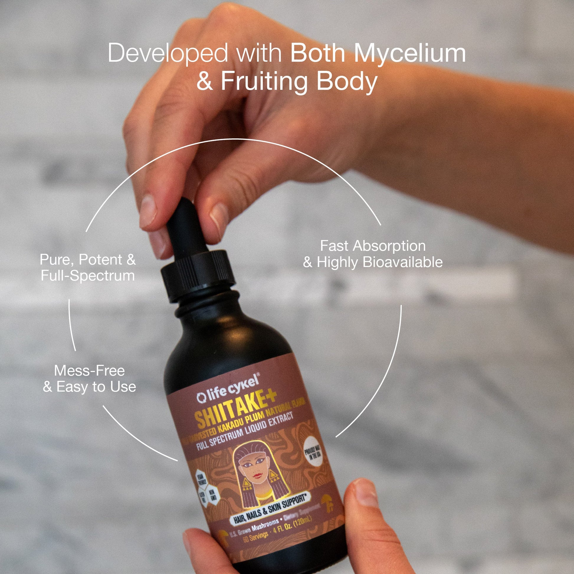 Shiitake Mushroom Extract