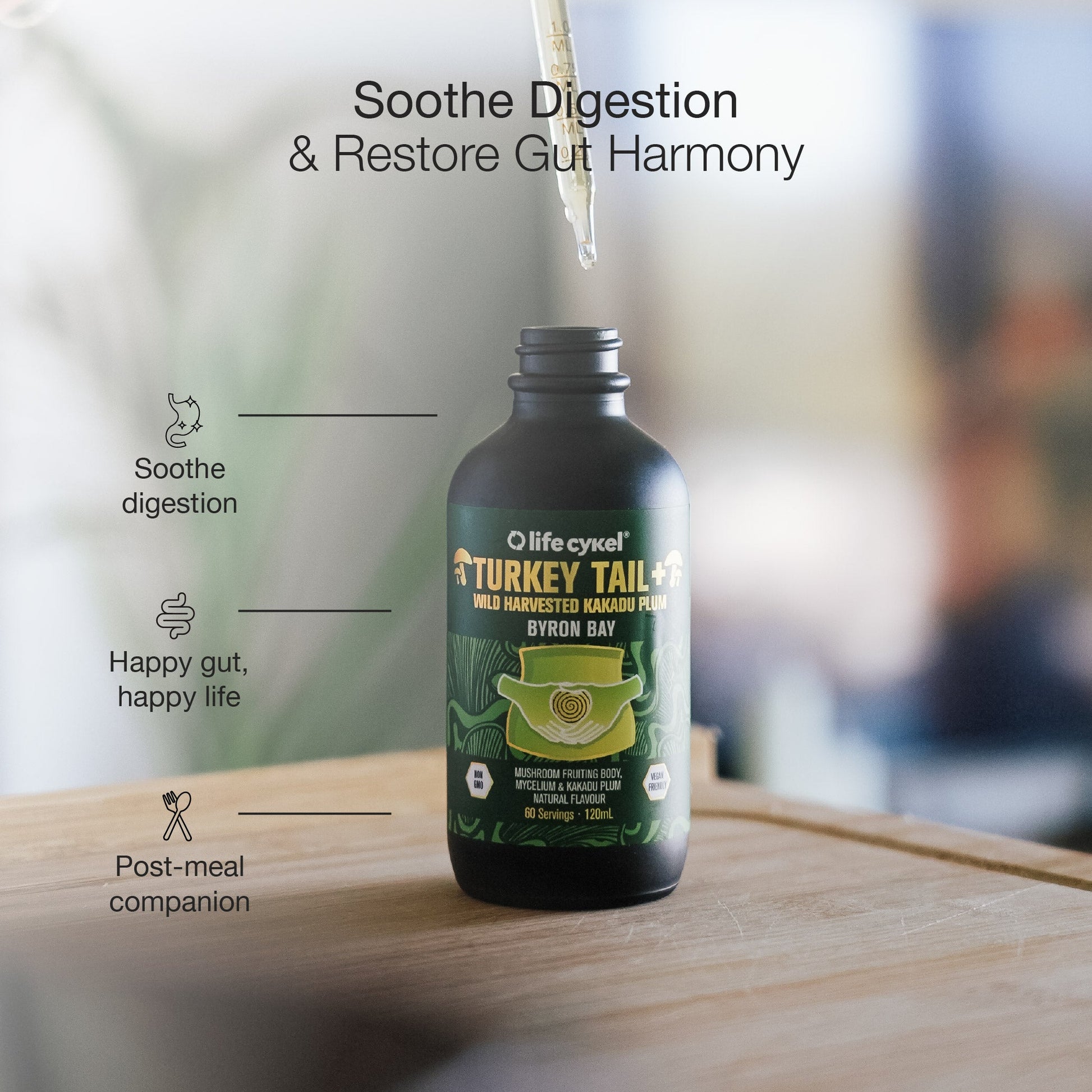 Turkey Tail Mushroom Extract