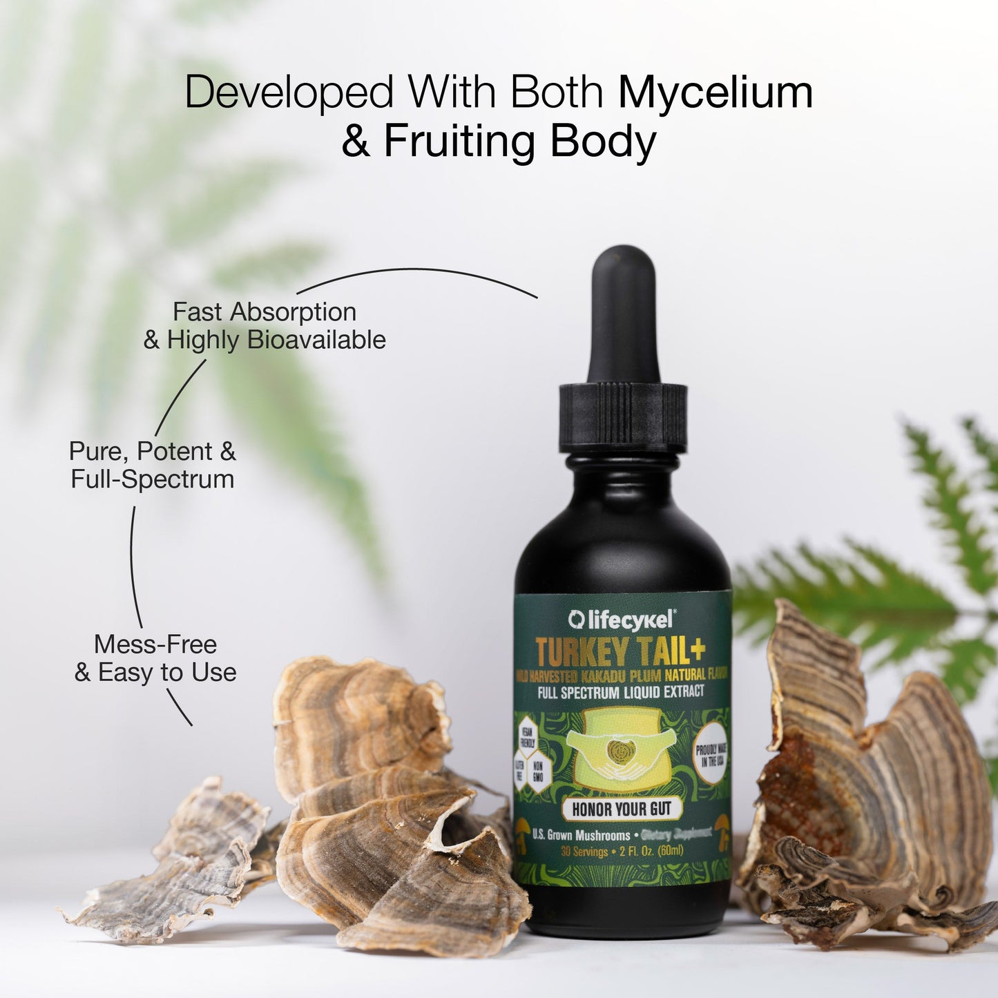 Turkey Tail Mushroom Extract