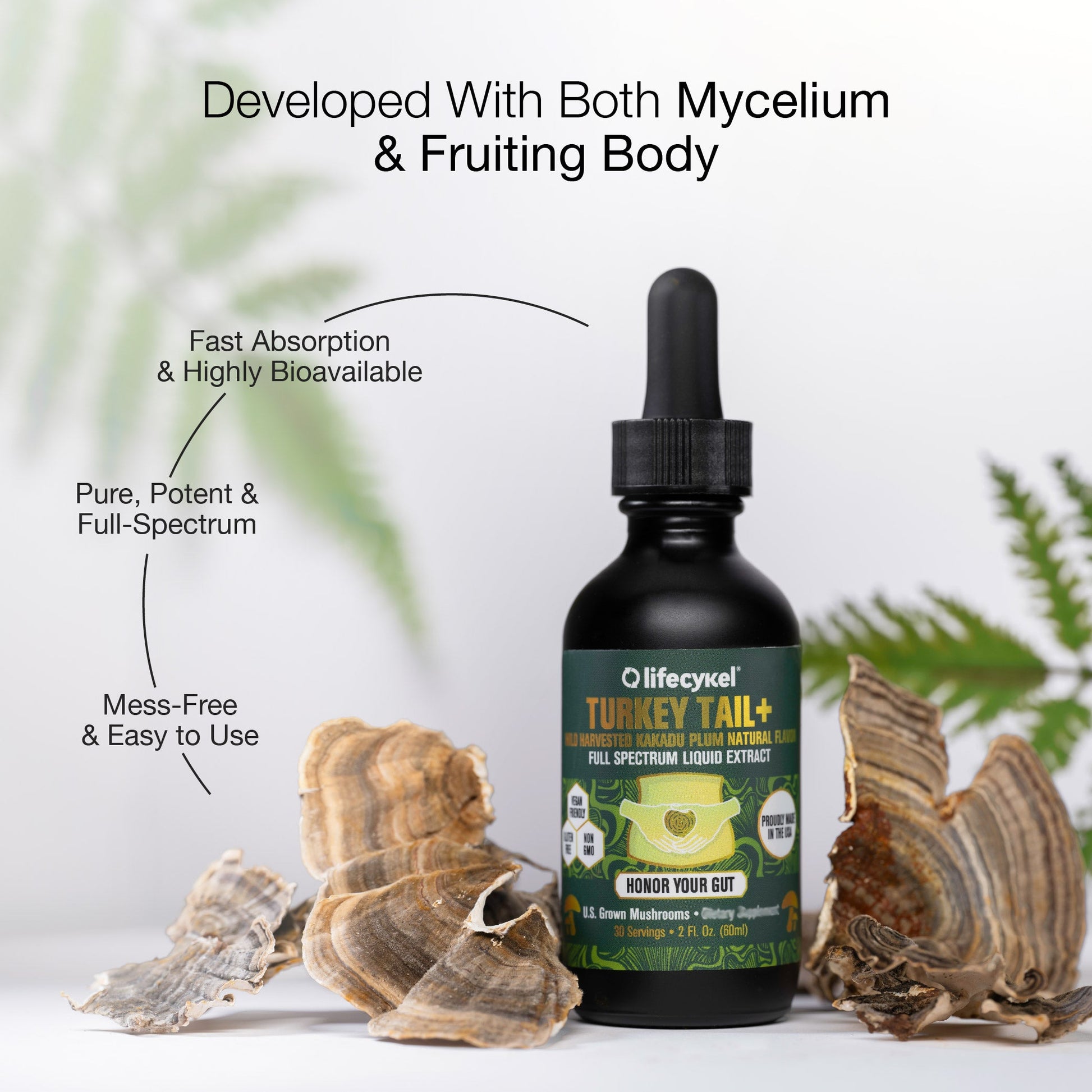 Turkey Tail Mushroom Extract